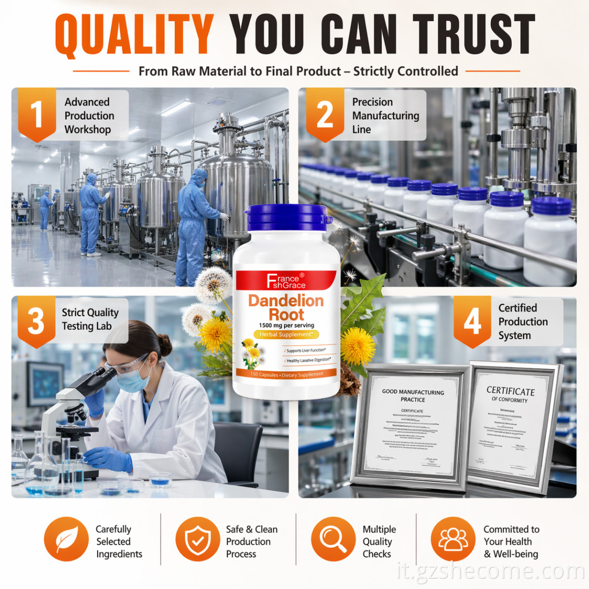 Dandelion Extract Capsules10